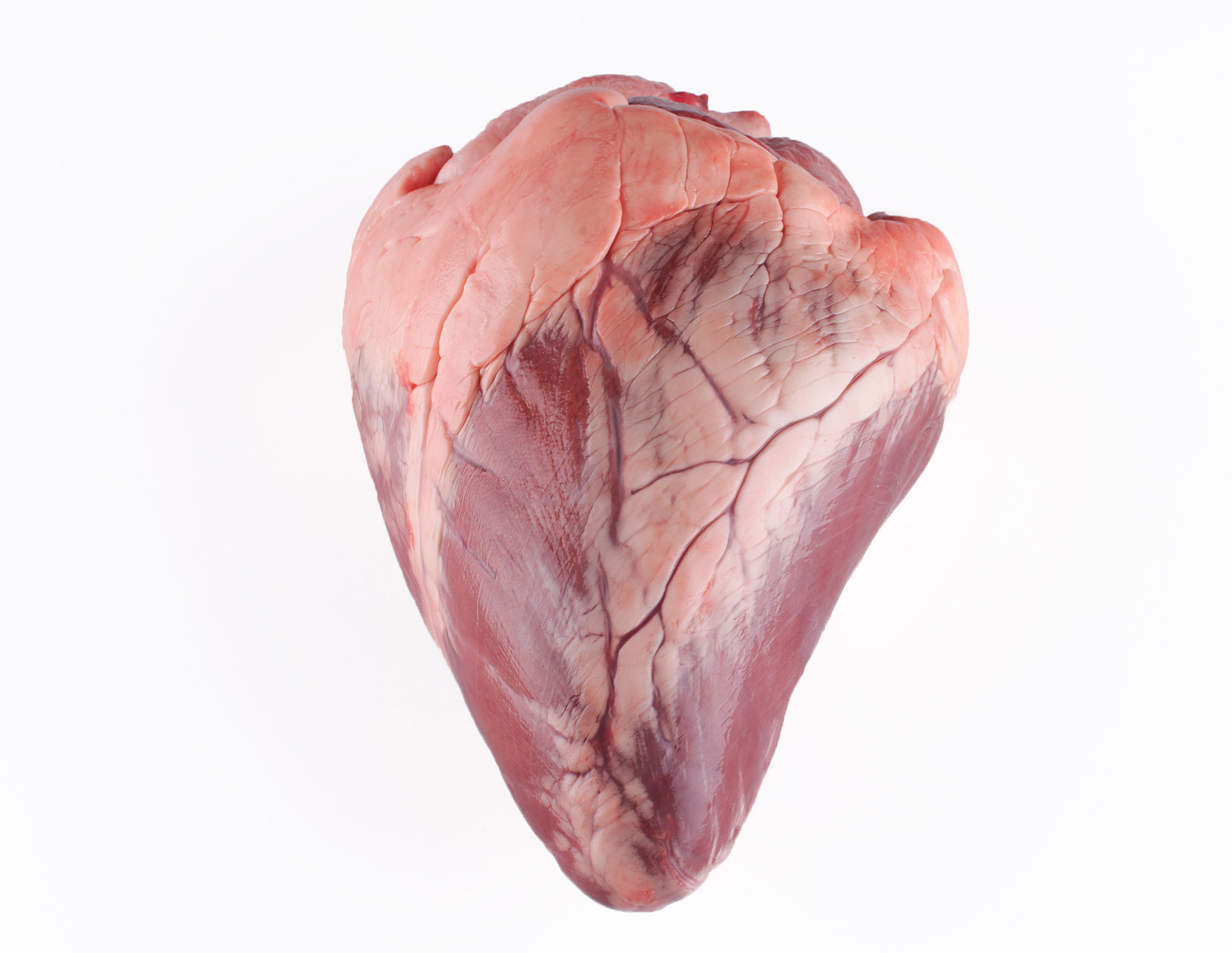 Corazón